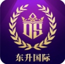 东升国际